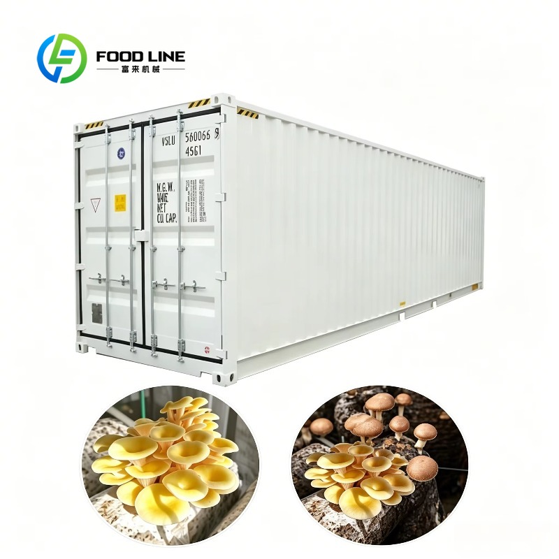 Urban Farming Hydroponics - ฟาร์มปลูกพืชแบบไฮโดรโปนิกส์ในภาชนะพร้อมระบบให้น้ำอัตโนมัติสำหรับการเกษตรในร่มและการเกษตรในเมือง โครงการแบบครบวงจร