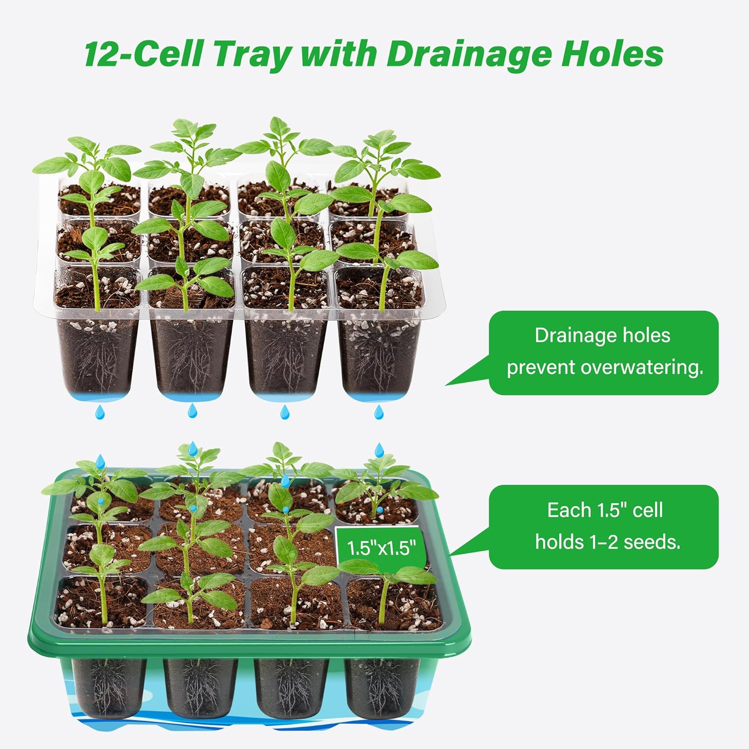 ชุดเพาะเมล็ดพร้อมถาดเพาะ 6/12  - Dome Propagation Kit บทวิจารณ์และราคา