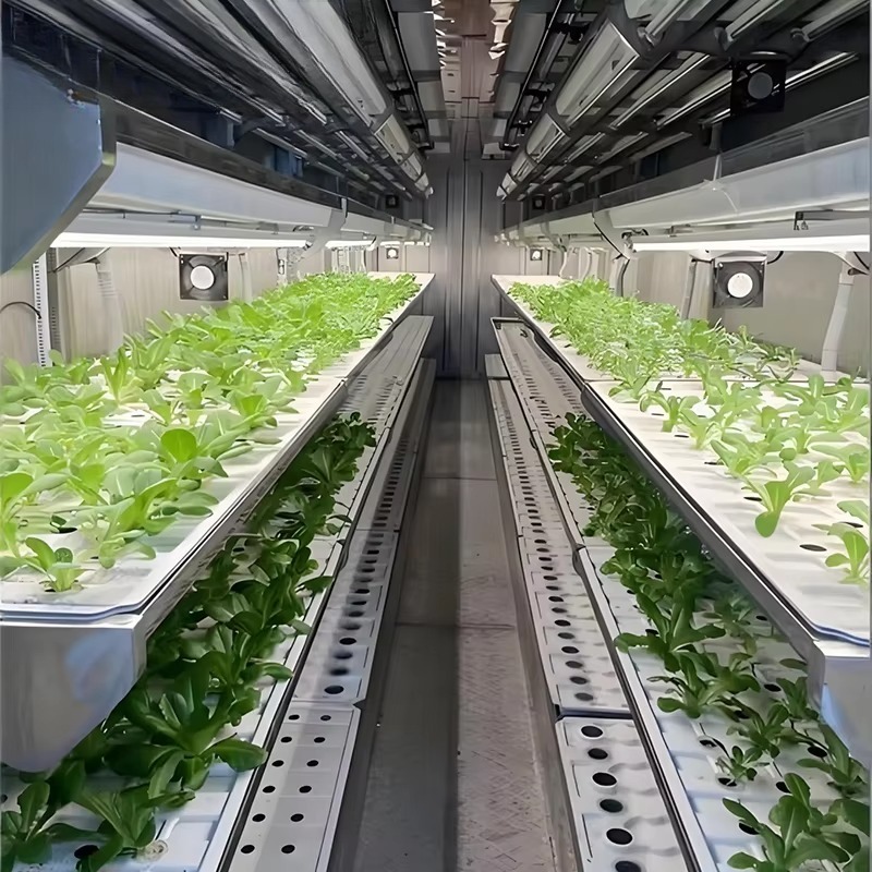 ระบบปลูกพืชอัจฉริยะในภาชนะแบบแ - Urban Farming Hydroponics บทวิจารณ์และราคา