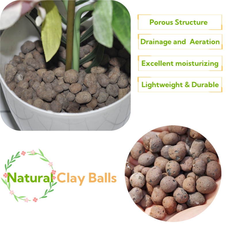 ดินเหนียวออร์แกนิก 2 ลิตร/1 ลิ - Clay Pebble Growing บทวิจารณ์และราคา