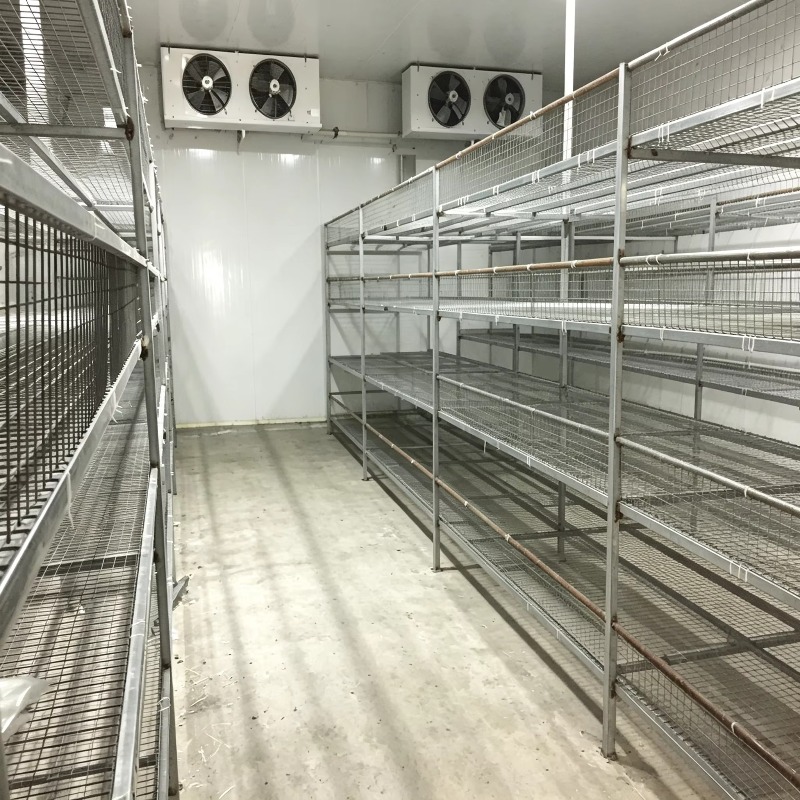 ฟาร์มปลูกพืชแบบไฮโดรโปนิกส์ในภ - Urban Farming Hydroponics บทวิจารณ์และราคา