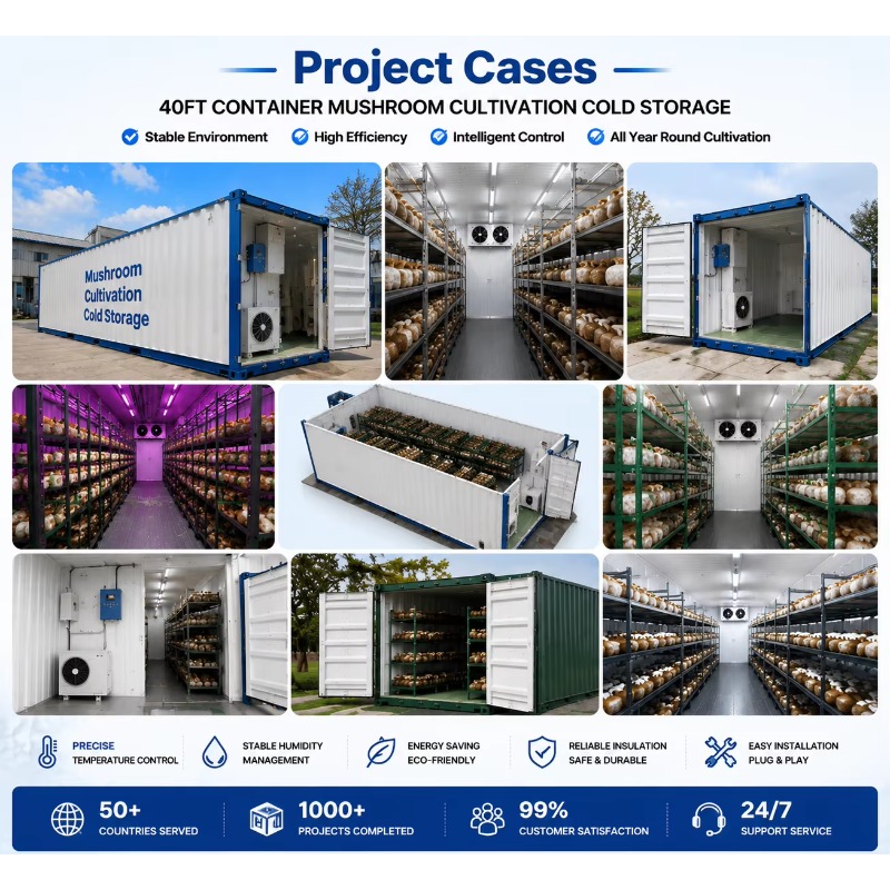 ฟาร์มปลูกพืชแบบไฮโดรโปนิกส์ในภ - Urban Farming Hydroponics บทวิจารณ์และราคา