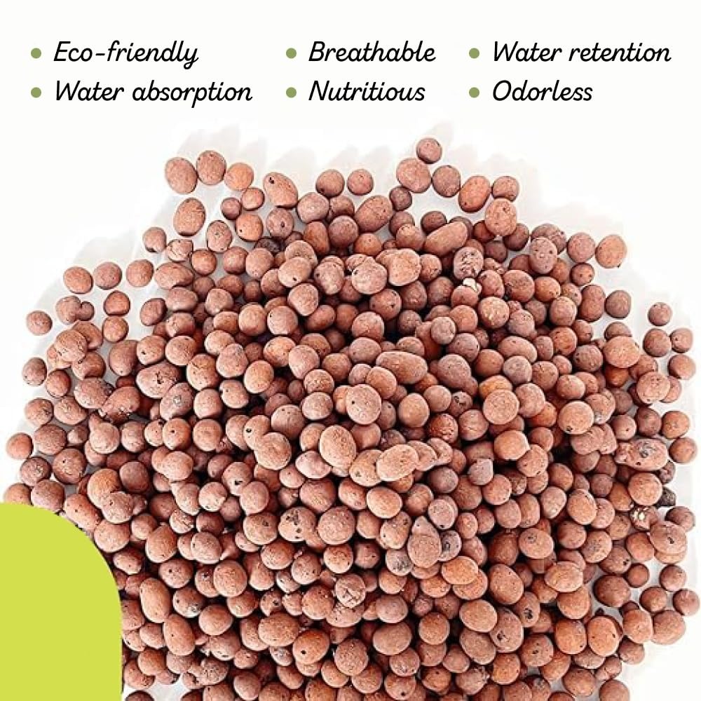 ดินอัดเม็ดสำหรับปลูกพืชไร้ดิน  - Clay Pebble Growing บทวิจารณ์และราคา