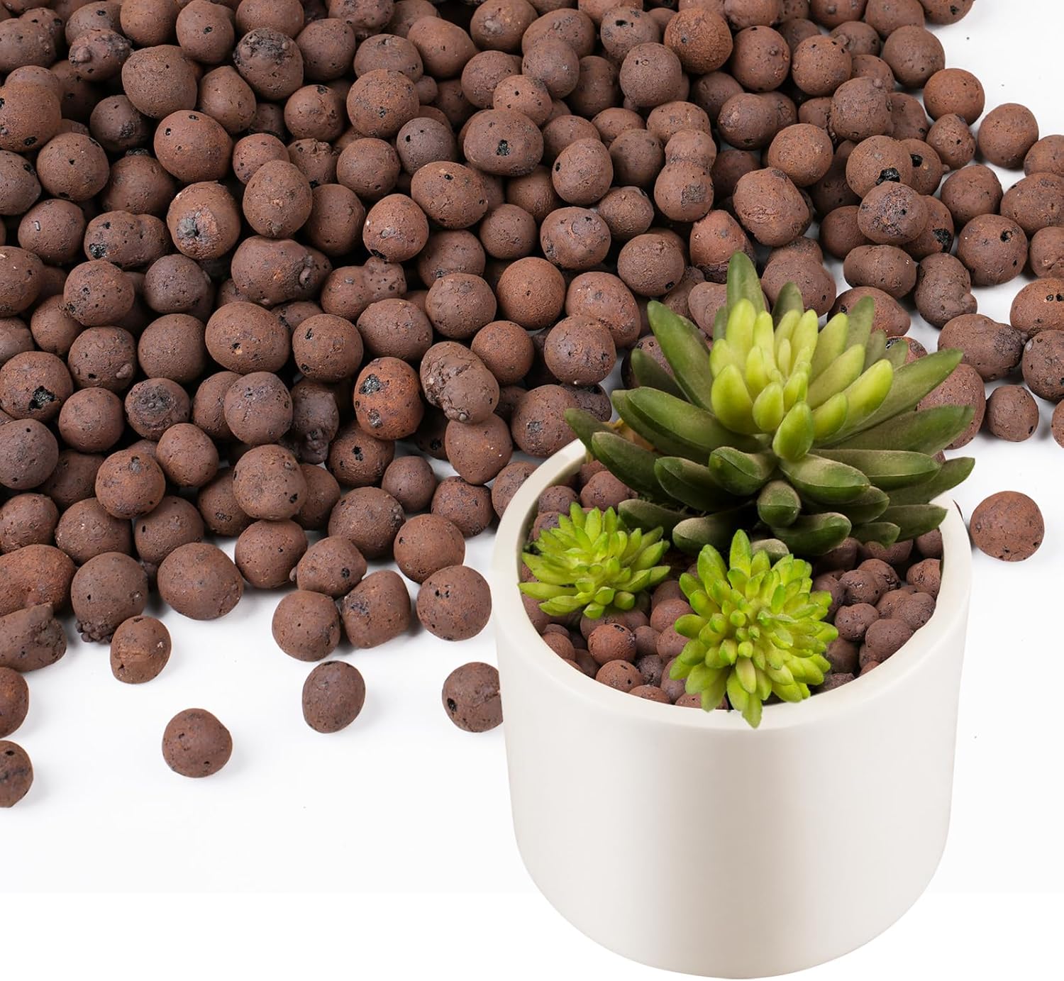 ดินเหนียวเม็ดเล็ก 100/200 กรัม - Clay Pebble Growing บทวิจารณ์และราคา