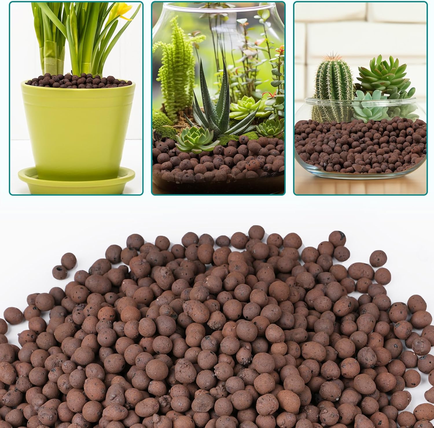 ดินเหนียวเม็ดเล็ก 100/200 กรัม - Clay Pebble Growing บทวิจารณ์และราคา