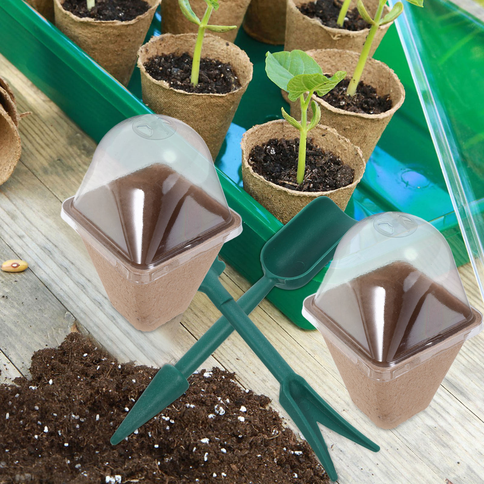 ชุดกระถางเพาะต้นกล้าแบบยั่งยืน - Dome Propagation Kit บทวิจารณ์และราคา
