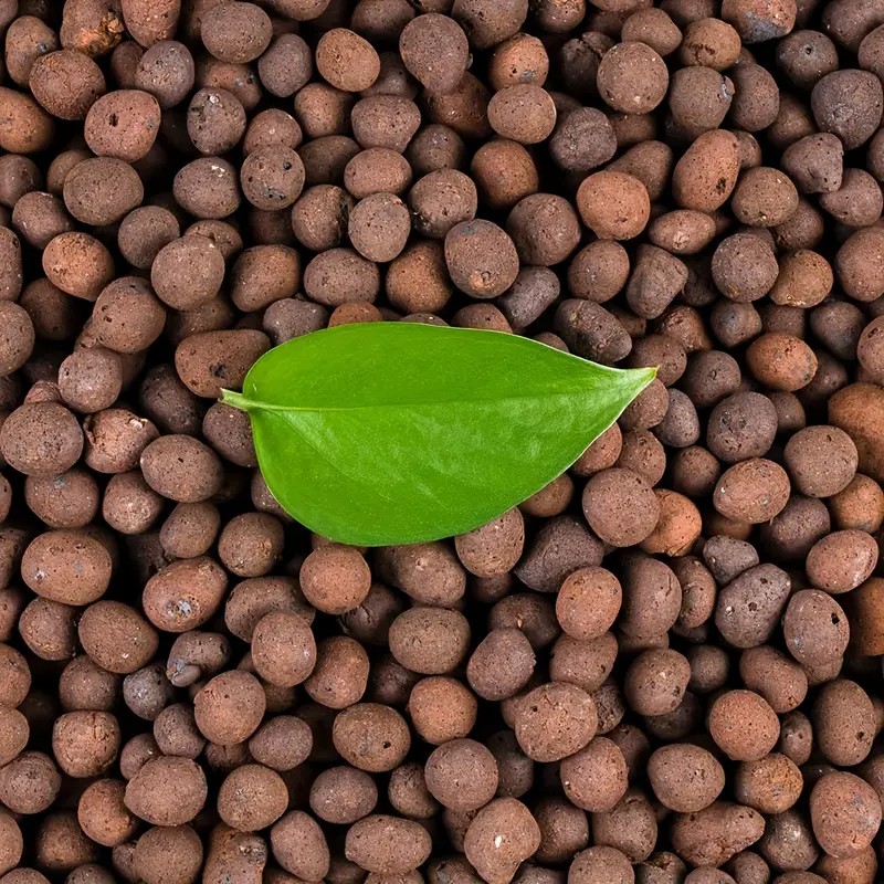 1LB Reusable Hydroponic Clay P - Clay Pebble Growing บทวิจารณ์และราคา